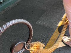 -星巴克