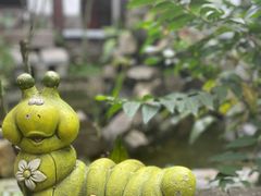 -水岸居湖景农家乐·阳澄湖大闸蟹