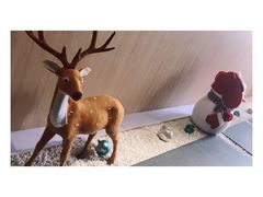 -紫· 割烹  Kappo Murasaki