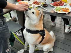-裸心谷·裸心味餐厅