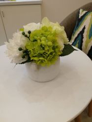 -MIDA蜜哒•科技逆龄美肤连锁