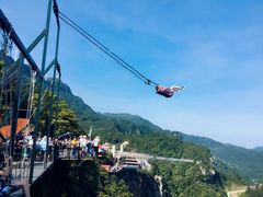 -梦幻奥陶纪景区