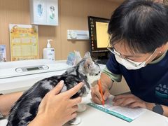 -谐和益家动物医院·免疫绝育·血液透析·宠保定点医院(高新伊藤分院)