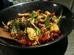 -食乐佳麻辣香锅(森林摩尔商业街区店)
