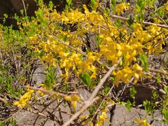 -天津盘山风景名胜区