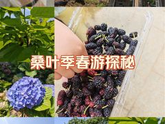 -凤凰沟景区