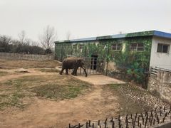 -西安秦岭野生动物园