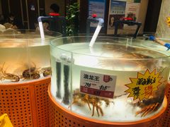 -万龙洲海鲜(大兴绿地缤纷城店)