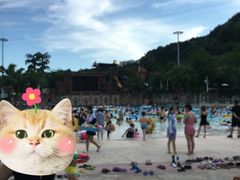 -重庆海昌加勒比海水世界