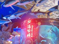 -烟台海昌鲸鲨海洋公园