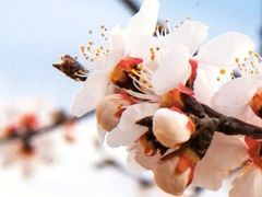 -云峰山自然风景区