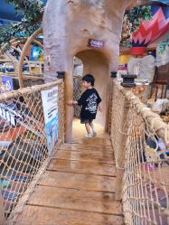 -卡通尼·Safari非洲探索乐园·生日会(金桥国际商业广场店)