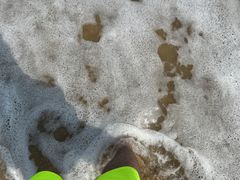 -青澳湾北回归线广场