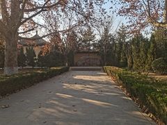 -大槐树寻根祭祖园