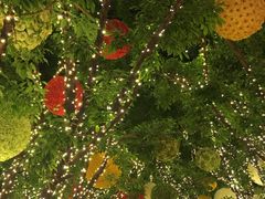 -拉斯维加斯永利酒店