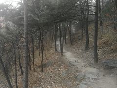 -北京鹫峰国家森林公园