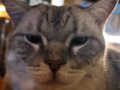 -故遥酒馆.赛事直播