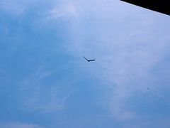 -灌篮高手动画打卡地