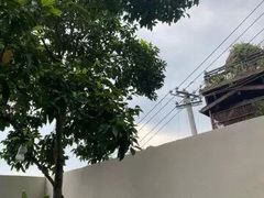 -南山植物园