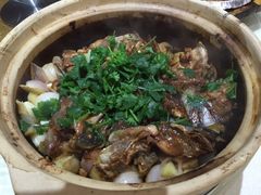 沙窝生焗大鱼头-德烨酒家