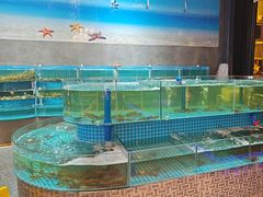 -蓝珊甄选海鲜自助·火锅大排档(近阿那亚店)