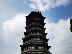 -洋湖国家湿地公园