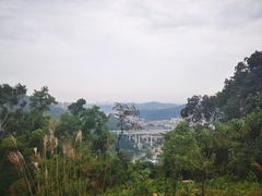 -天鹿湖森林公园