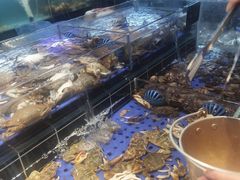 -九月海·海鲜自助(世纪东方店)