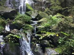 -藏龙百瀑风景区