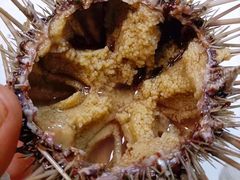 -桔子海鲜烧烤大排档(台东店)