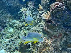 -新加坡海洋生态馆