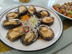 -陶然饺子城(奥体中路店)