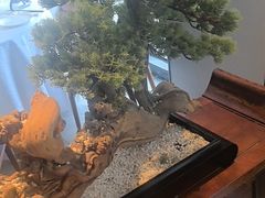 -顺峰(农展馆店)
