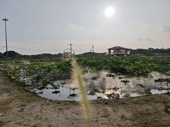 -嘉北郊野公园
