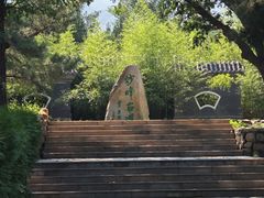 -阳台山自然风景区