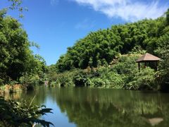 -沐川竹海旅游景区