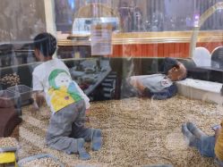 -超级奈尔宝SUPER NEOBIO(杭州星光店)