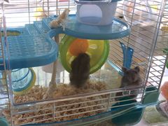 -宠爱我(南山店)