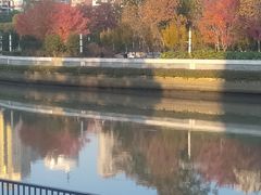 -苏州河梦清园环保主题公园