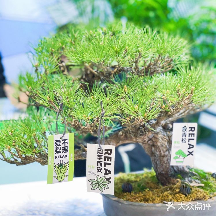 杭州探店|商场里的一抹绿|满满的春日气息