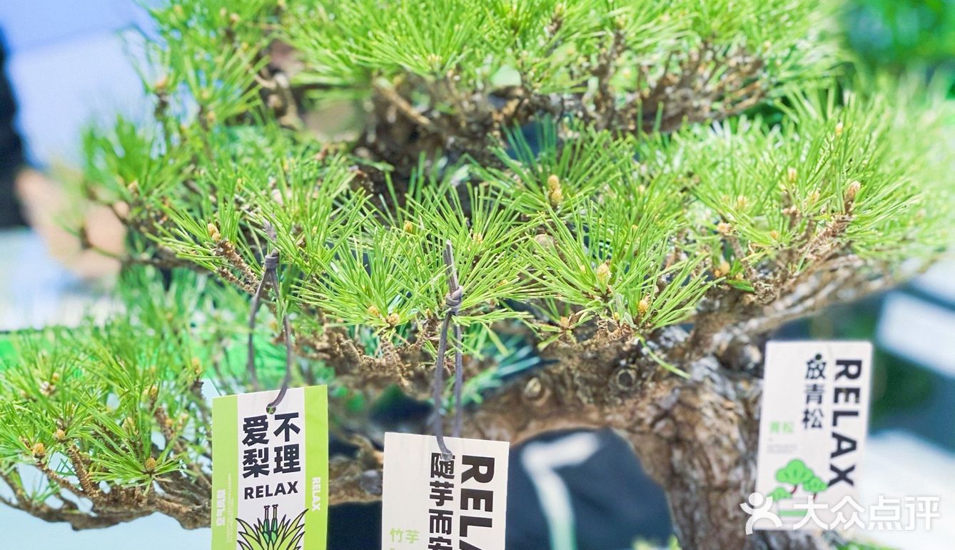 杭州探店｜商场里的一抹绿｜满满的春日气息