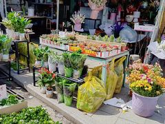 -循礼门鲜花花市(武汉循礼门店)