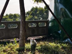 -句容茅山景区