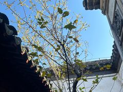 -黎里柳亚子纪念馆