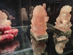 -中国地质博物馆