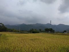-前童古镇