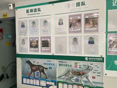 -瑞派先诺宠物医院•猫专科•普外科•中兽医(佛山院)