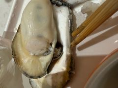 -杨氏青龙虾·羊蝎子(托乐嘉店)