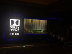 -万达影城(闵行颛桥万达广场杜比影院店)