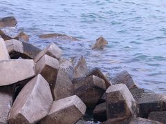 -北戴河碧螺塔海上酒吧公园